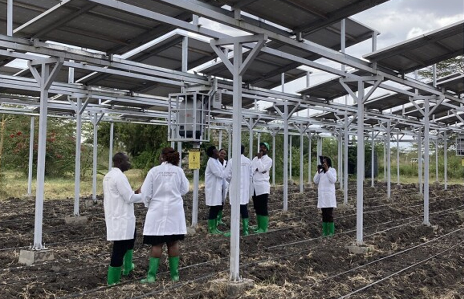 Exploring energy innovations